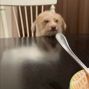 Meet your Posher, Armando